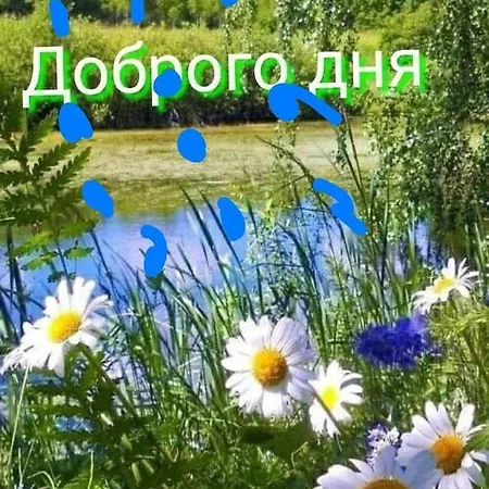 Appartement 1комнатная Uuskula (Ida-Viru)
